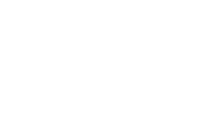 OBI Pin